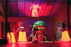 DER KLEINE HORRORLADEN | Foto: Thilo Beu